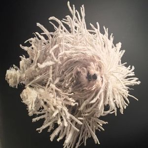 Meet your Posher, Marjorie